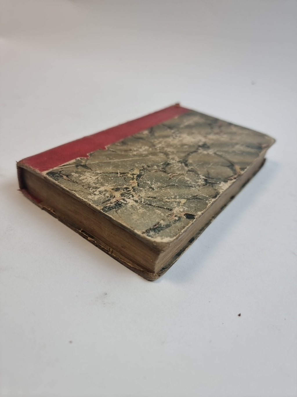 Zoological Anecdotes, William Brewster — Third Edition