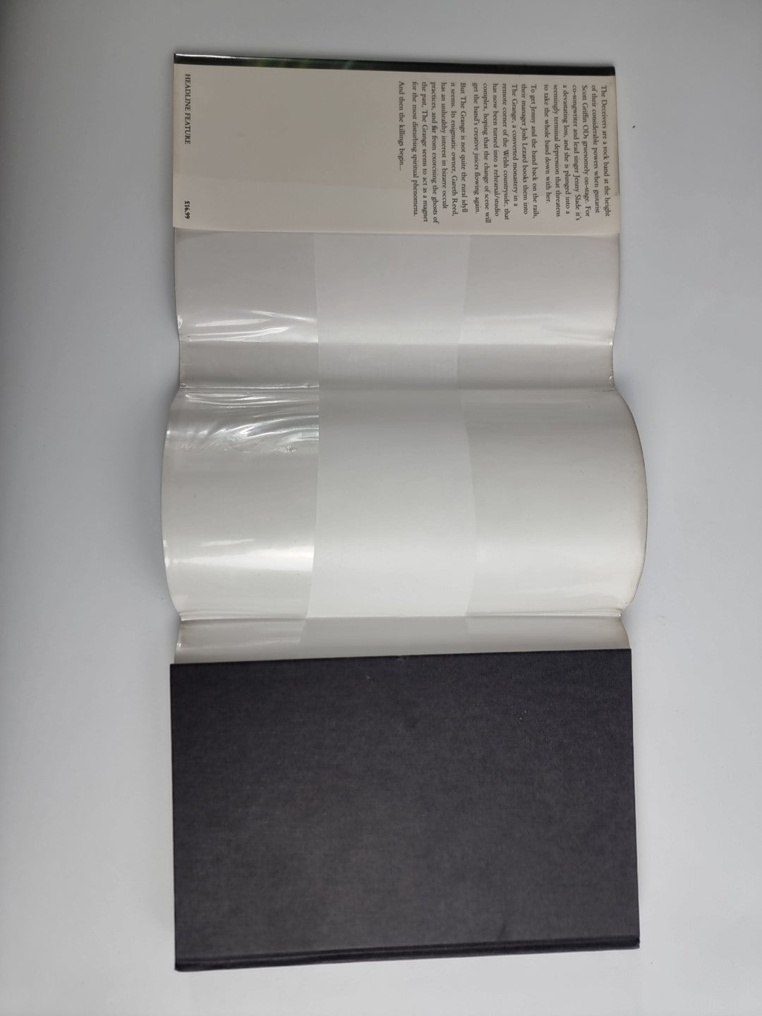 Bad to the Bone by Philip Caveney (Hardcover, 1996) 1st Edition Rare!