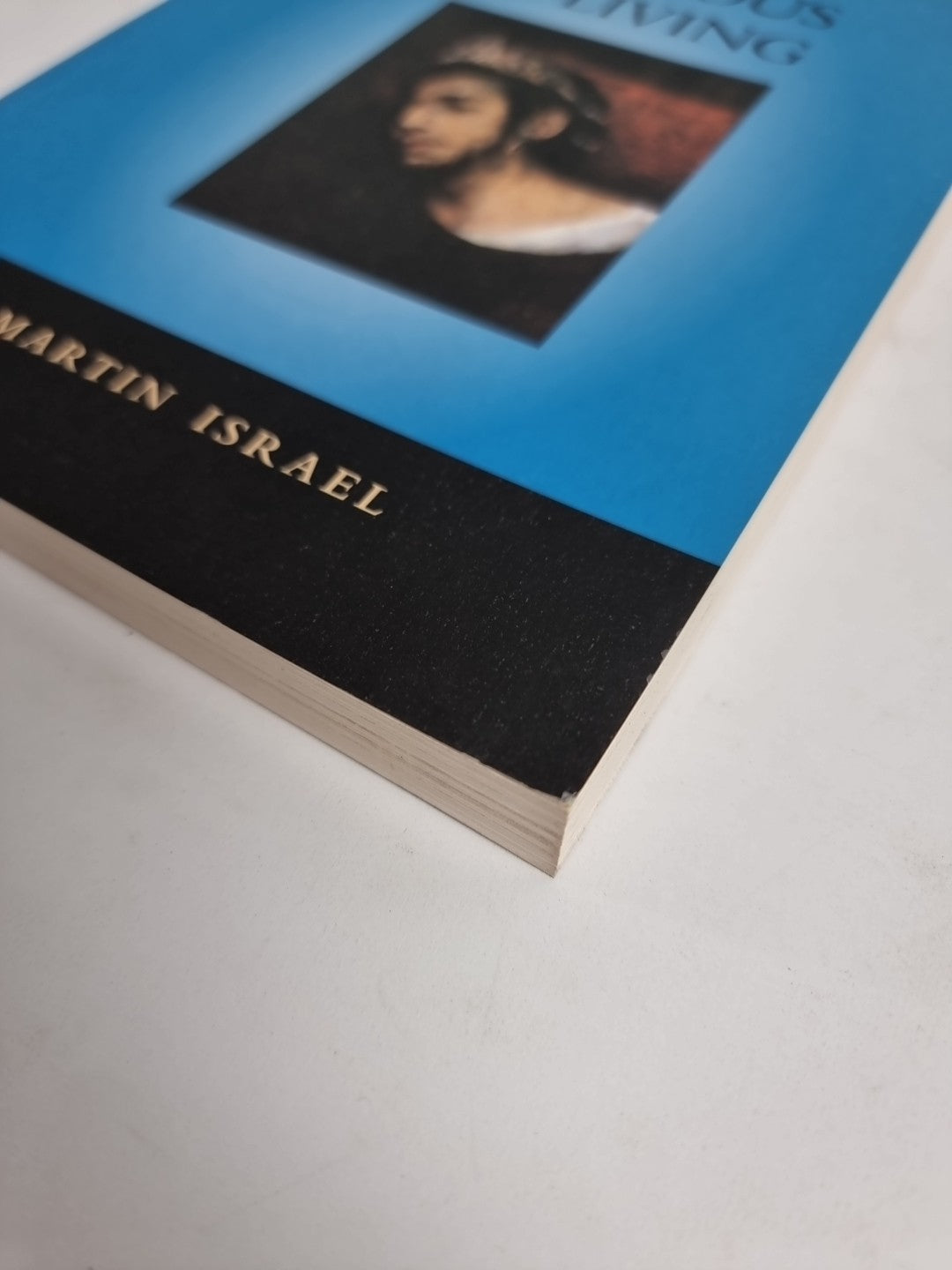 Precarious Living: The Path to Life by Martin Israel (Paperback, 2000)