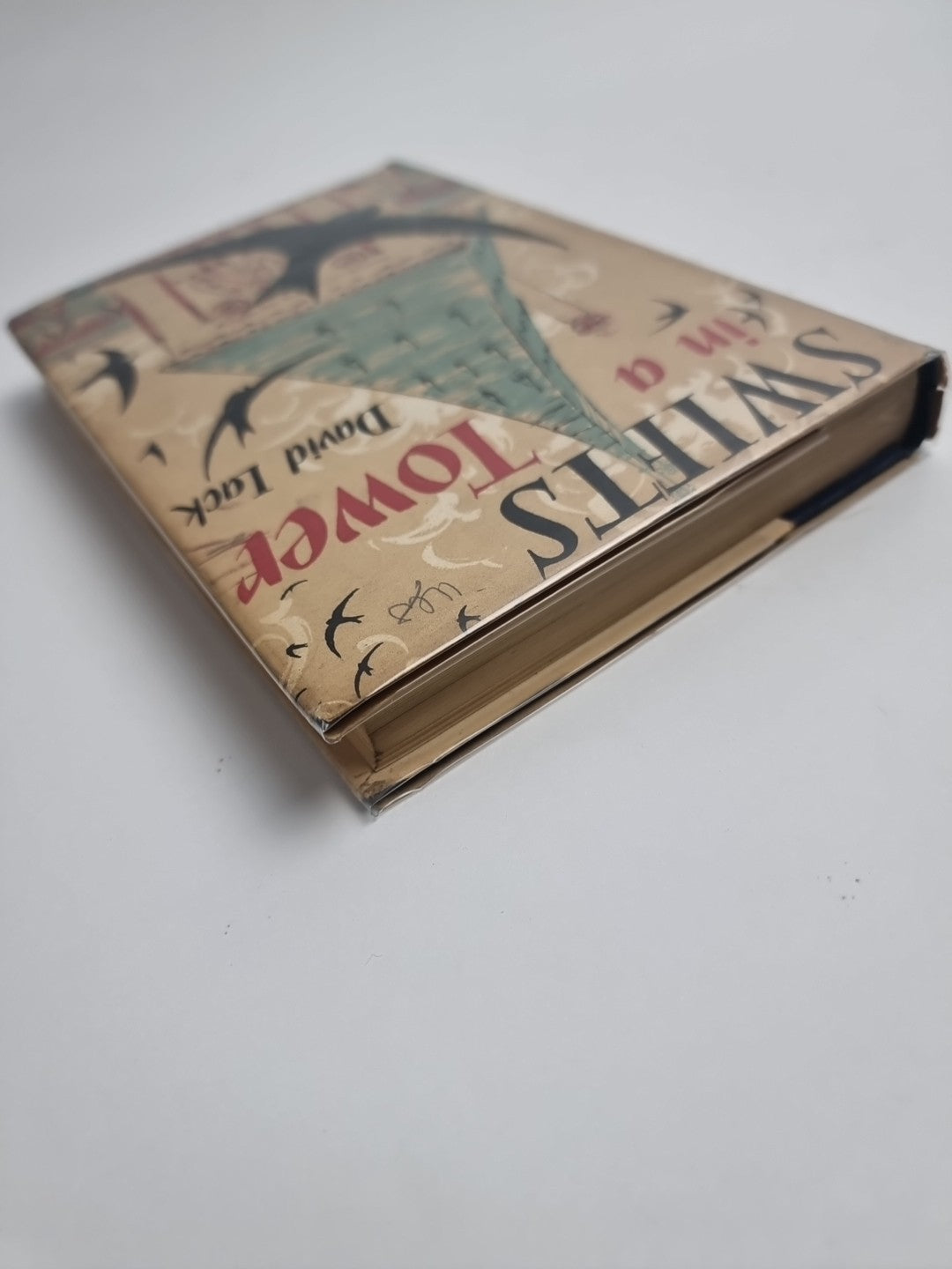 Swifts in a Tower - David Lack - 1956 1st Edition, Fine HB-DJ