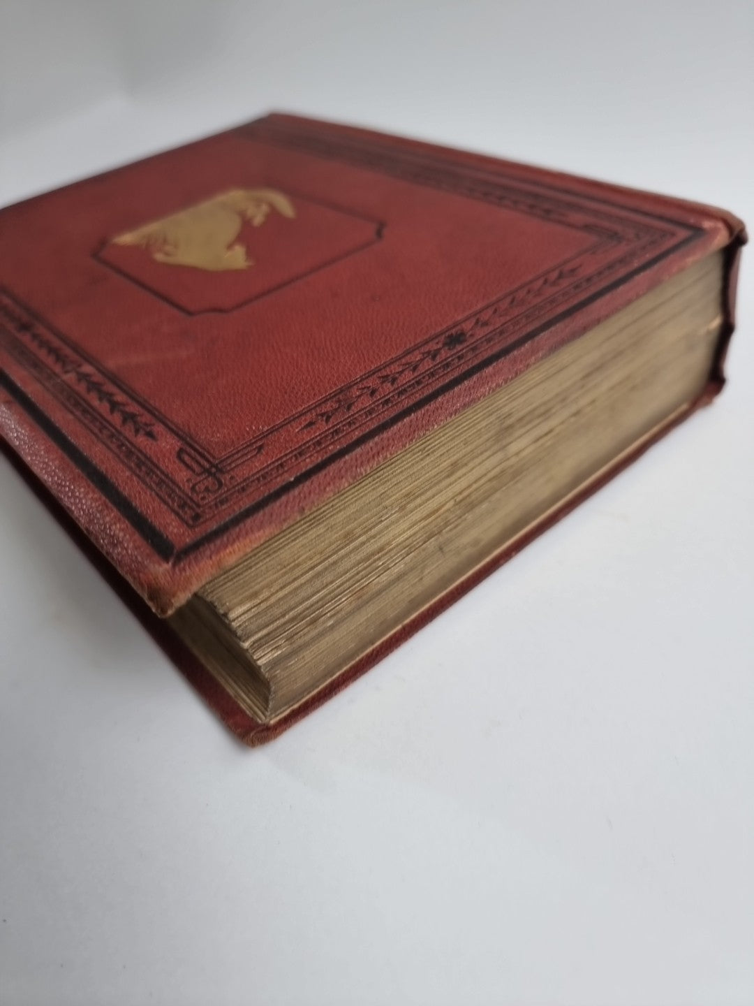 Routledge's Popular Natural History, Rev. J G Wood 1874, 