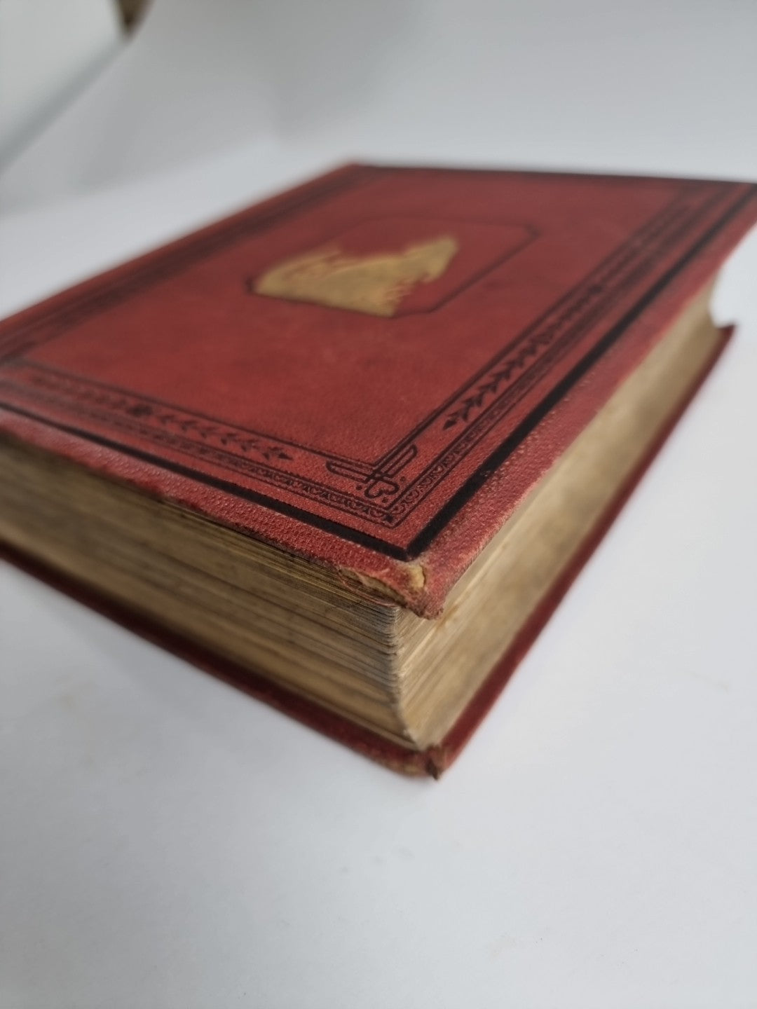 Routledge's Popular Natural History, Rev. J G Wood 1874, 