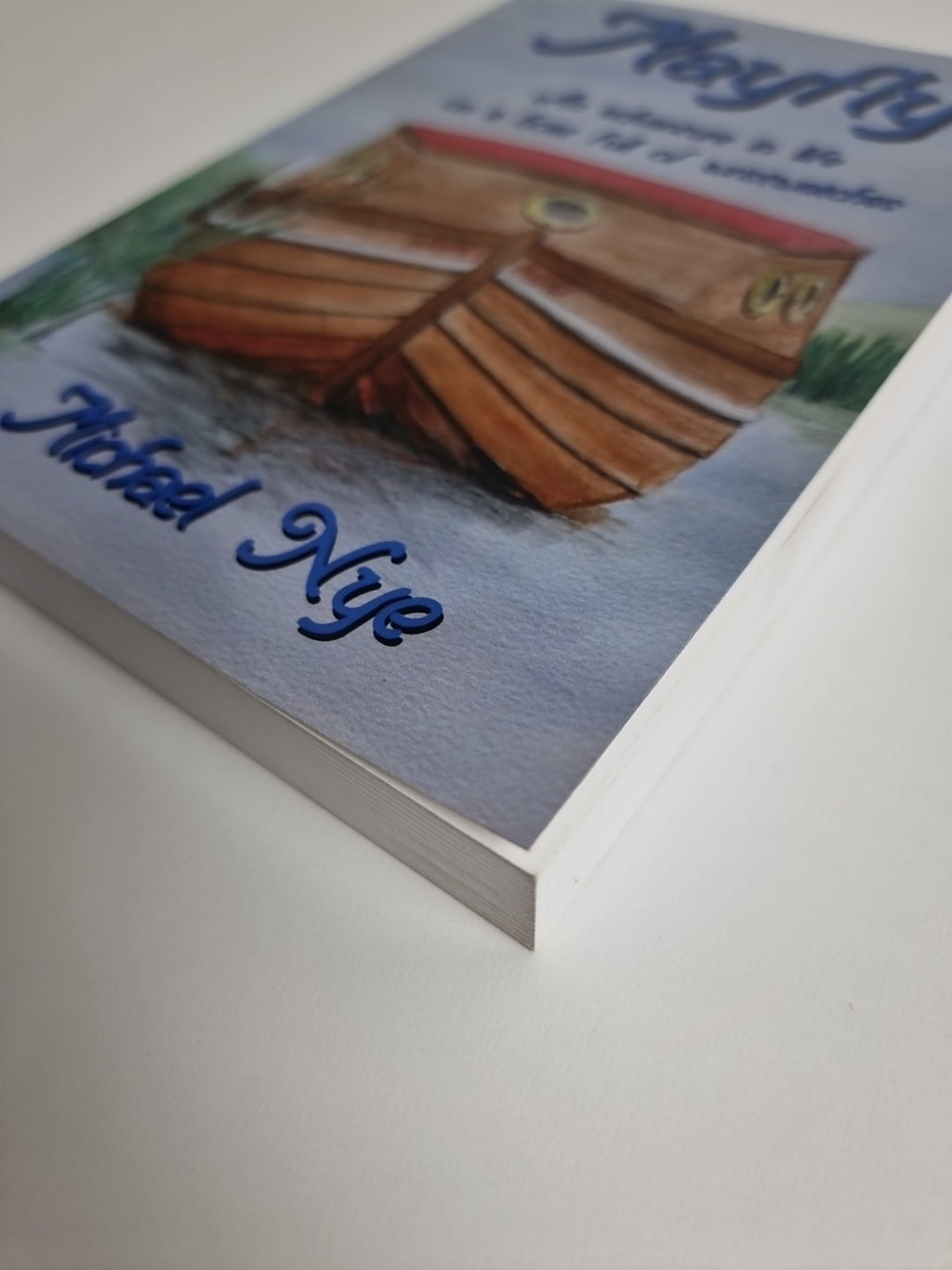 Mayfly by Michael Nye (2014, Trade Paperback)