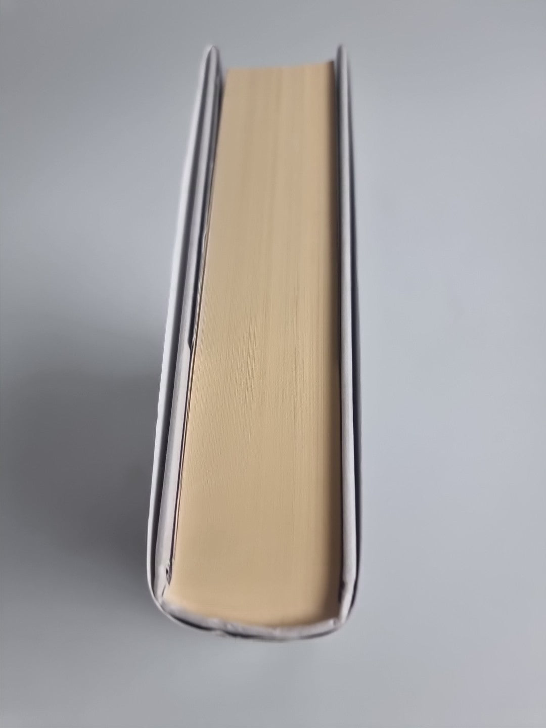My Absolute Darling by Gabriel Tallent Signed 1st Edition & Print 