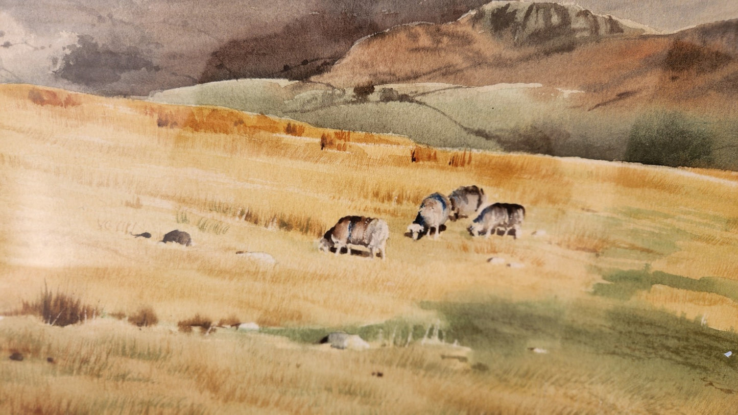 Fine Original Watercolour Lake District By Judy Boyes