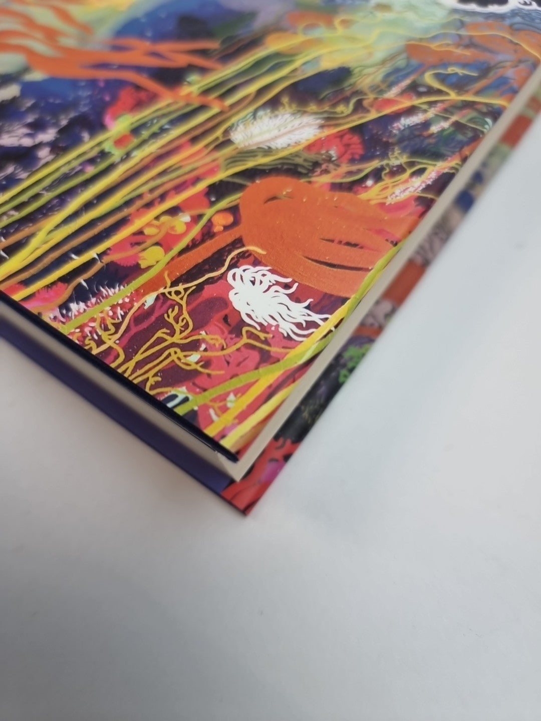 What the Wild Sea Can Be: The Future  Helen Scales New Free Delivery