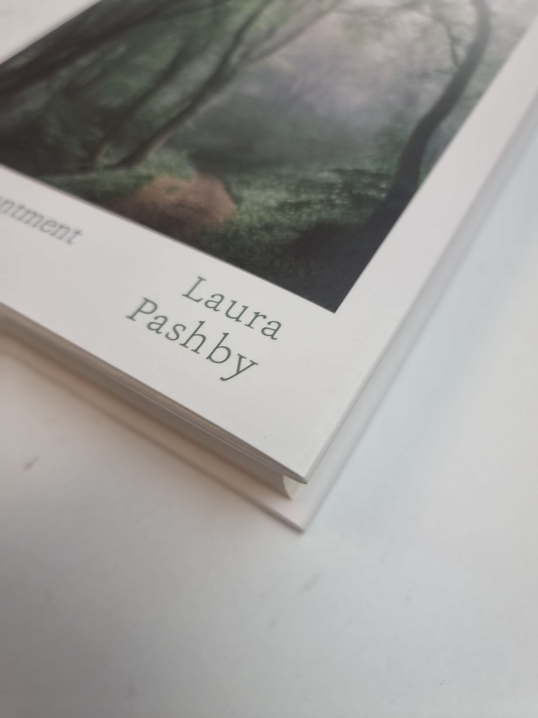 Chasing Fog, Laura Pashby,  Hardback New Free Delivery
