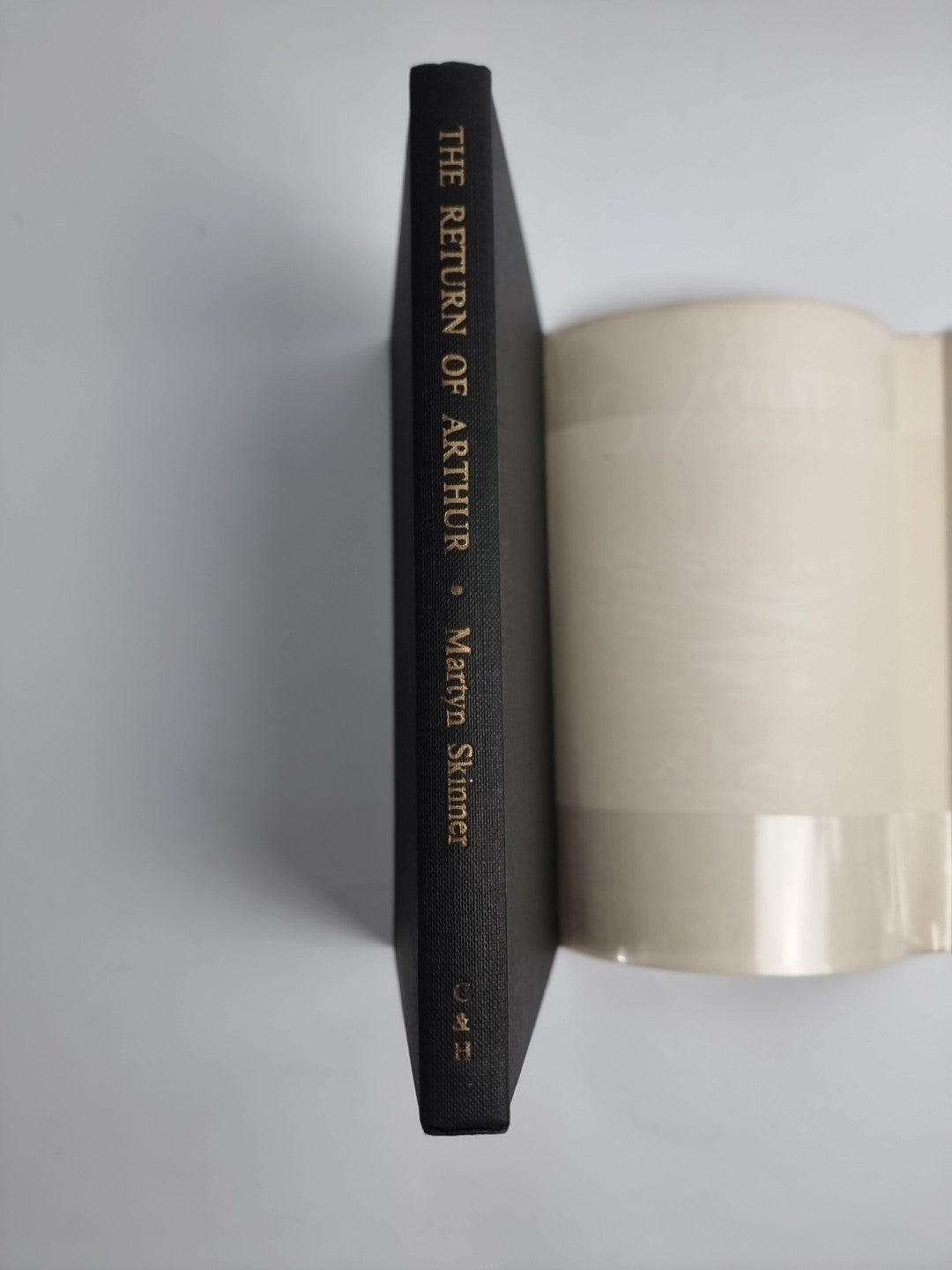 The Return Of Arthur by M Skinner New 1st Edition Free Delivery