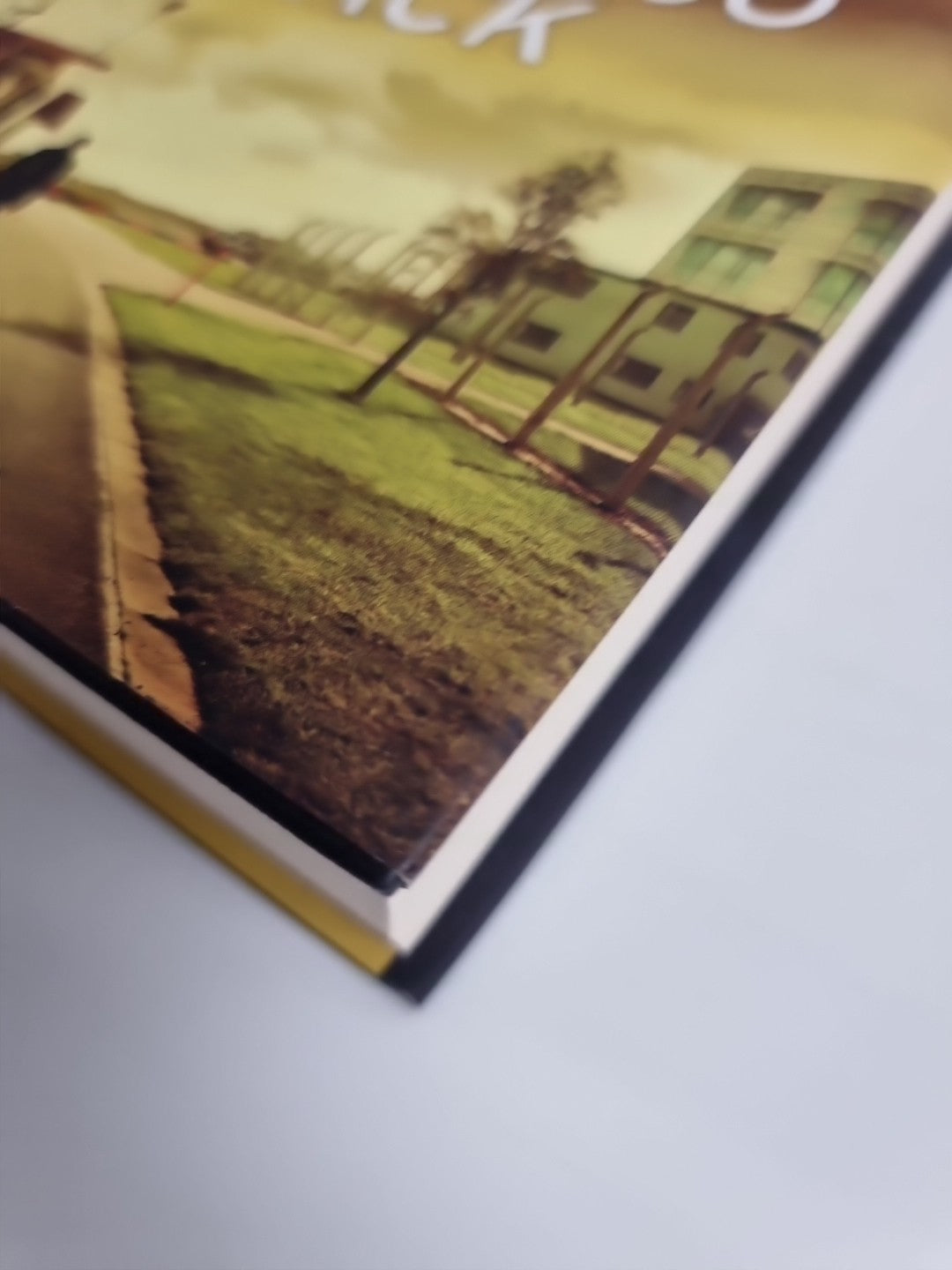 Never Go Back by Lee Child (Hardcover, 2013) 1st Edition New Free Delivery