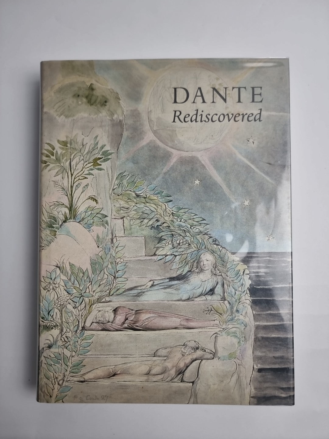 Dante Rediscovered: Blake to Rodin by D Bindman, Stephen Hebron 1st Edition