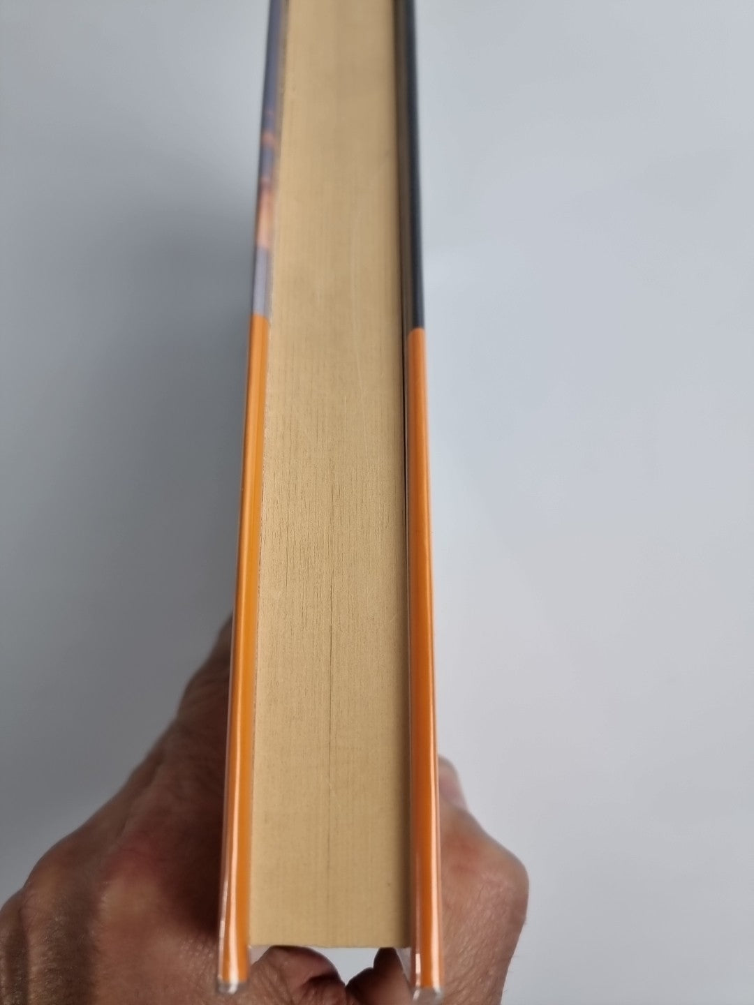 The Blue Afternoon by William Boyd (Hardcover, 1993)