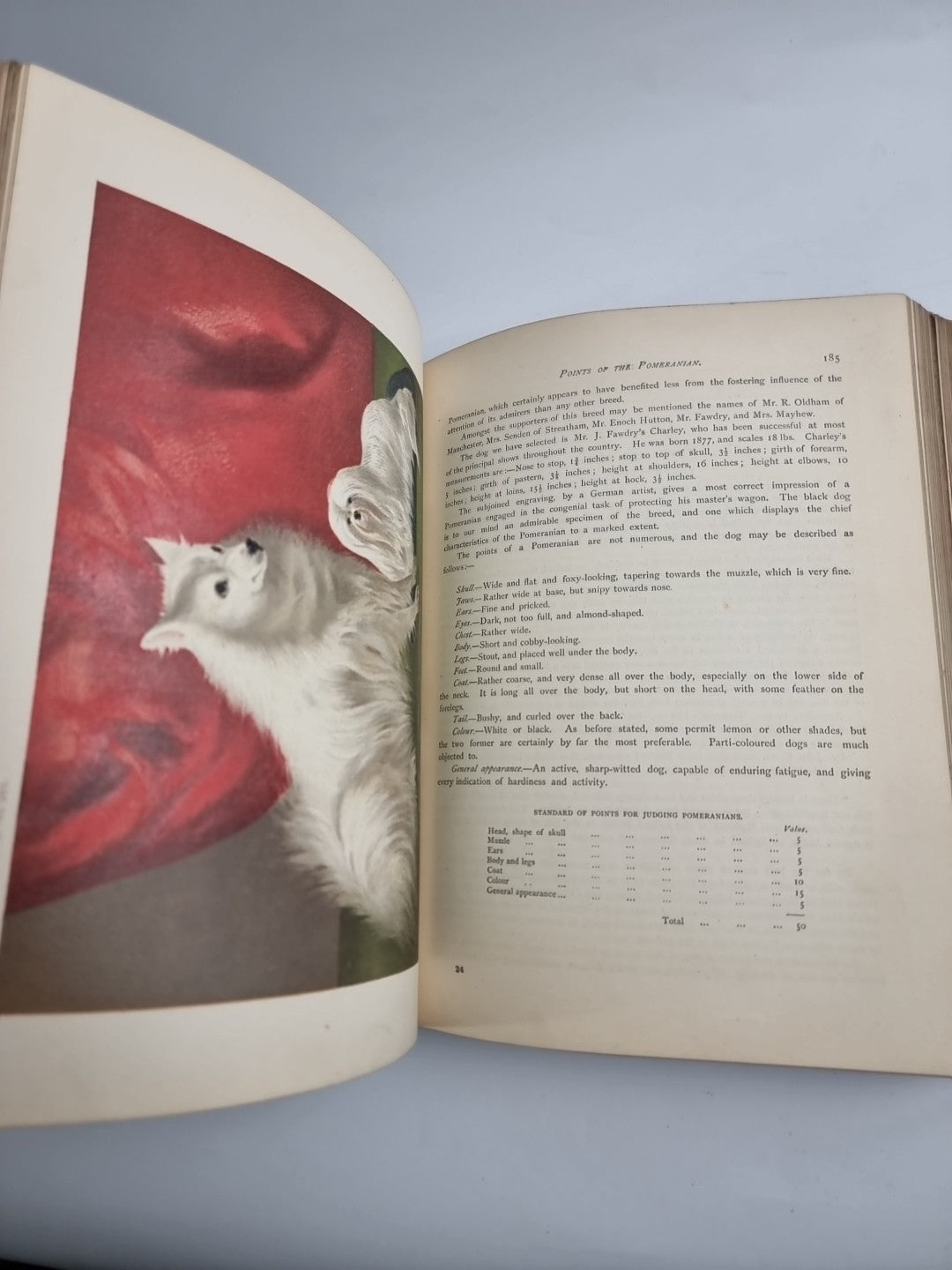 The Illustrated Book of the Dog. SHAW, Vero Kemball 1881 1st Edition