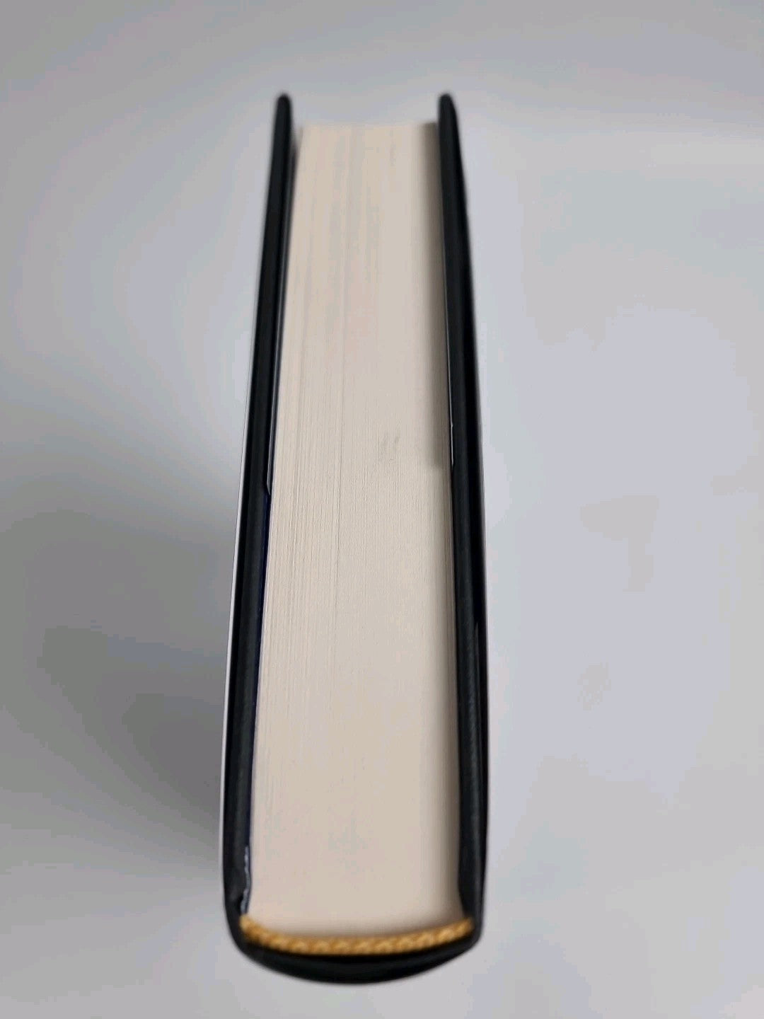 Truss at 10: How Not to be Prime Minister -Signed by Anthony Seldon 1ST Edition