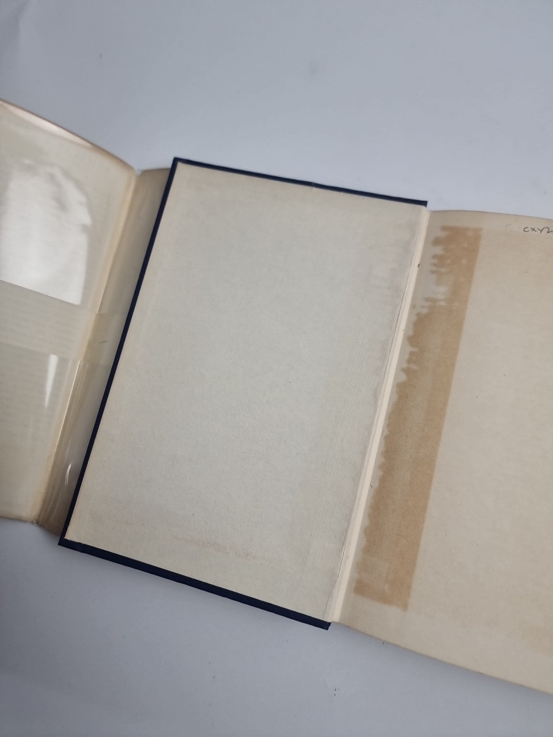 Swifts in a Tower - David Lack - 1956 1st Edition, Fine HB-DJ