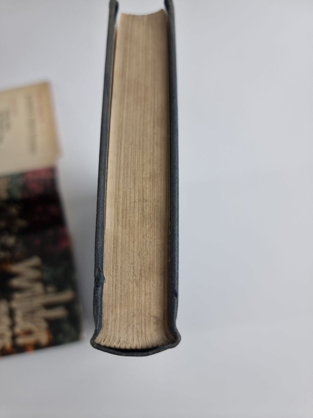 Robert Penn WARREN / Wilderness 1st Edition