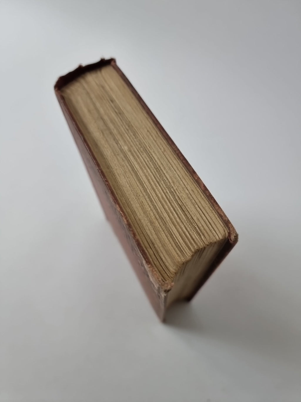 The Girl Who Defied the World, Joseph Hocking