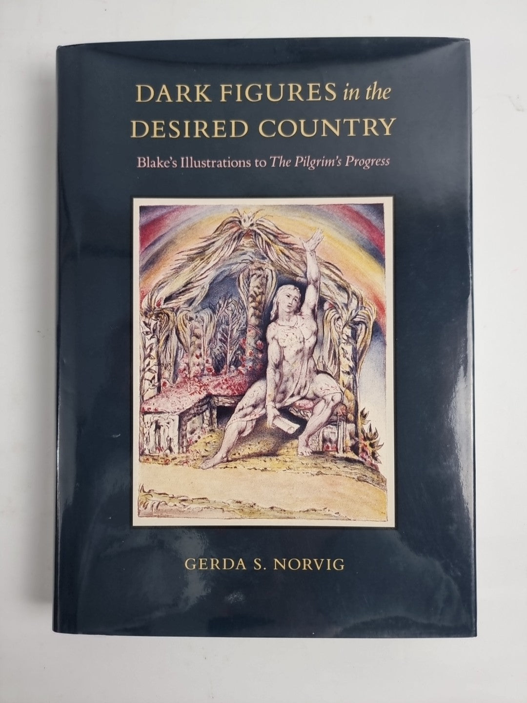 Dark Figures in the Desired Country: Blake's Illustrations to The Pilgrim's. New