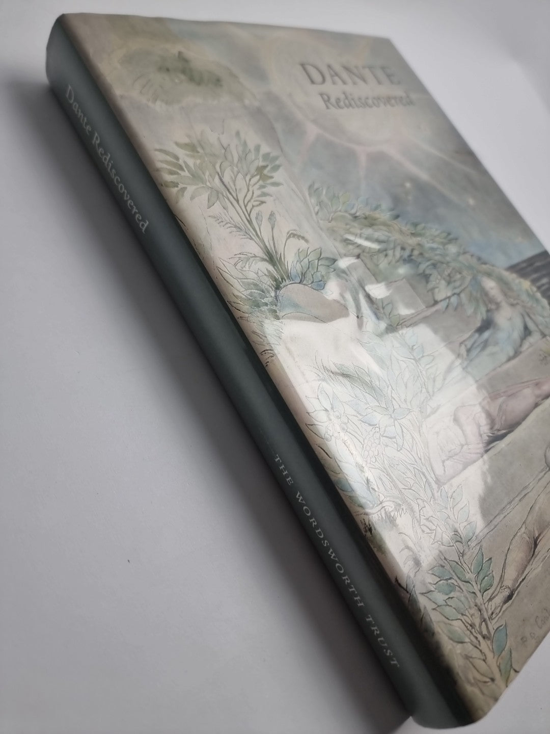 Dante Rediscovered: Blake to Rodin by D Bindman, Stephen Hebron 1st Edition