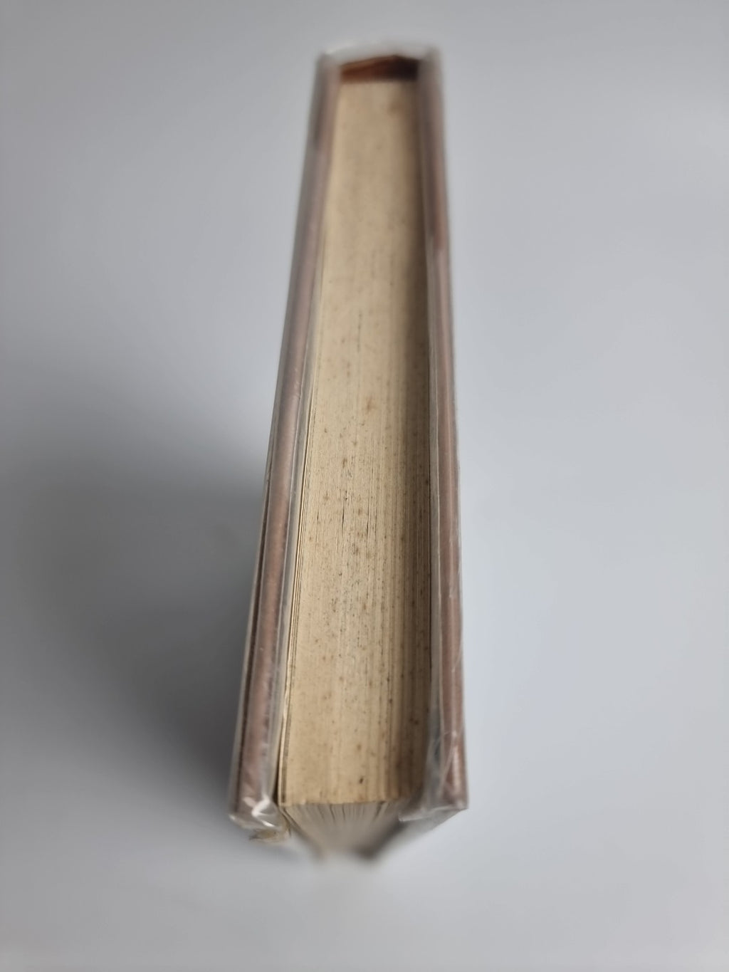Biggles And The Poor Rich Boy , Captain W.E. Johns — First Edition
