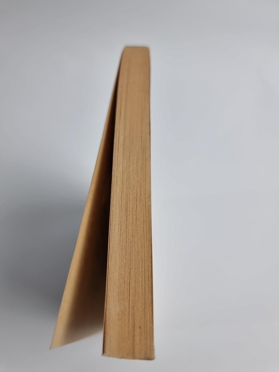 William S. Burroughs William S Burroughs Exterminator! 1st Paperback Edition 