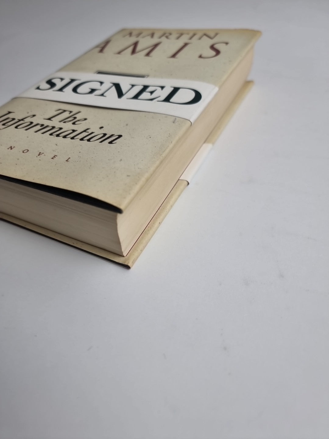 Martin Amis, The Information (Hardback, 1995) 1st/1st UK**** SIGNED****