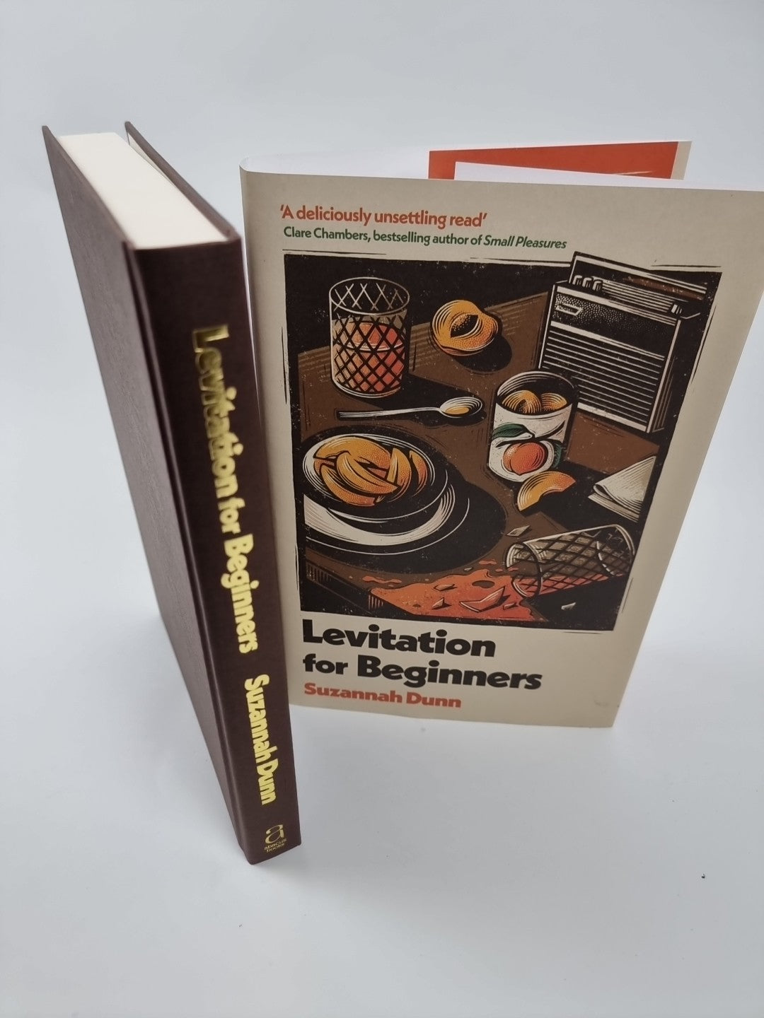 Levitation for Beginners by Suzannah Dunn (Hardback Book)