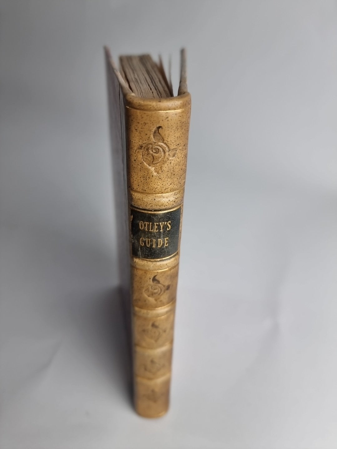 A Concise Description of the English Lakes and Adjacent Mountains, 4th ED 1830