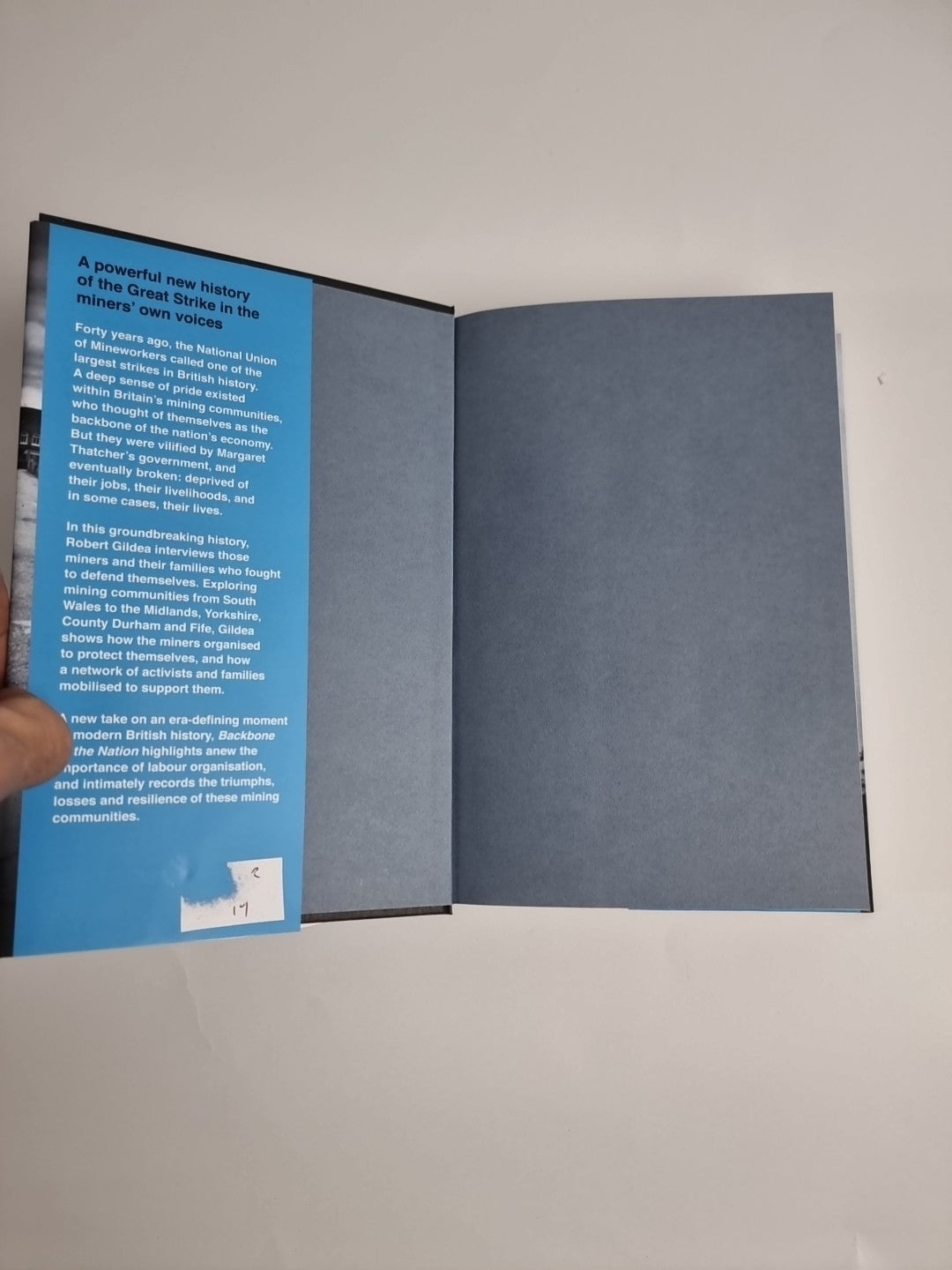 Backbone of the Nation by Robert Gildea - 1st Edition 1st Print   Hardback