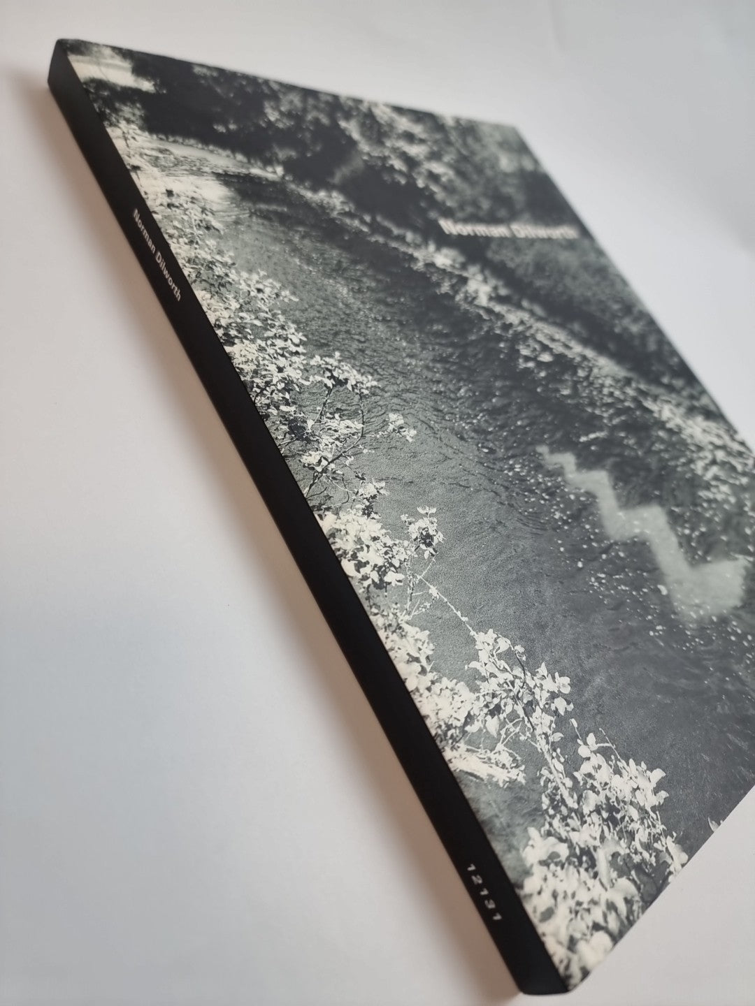 Norman Dilworth In the nature of things 1st Edition Signed New