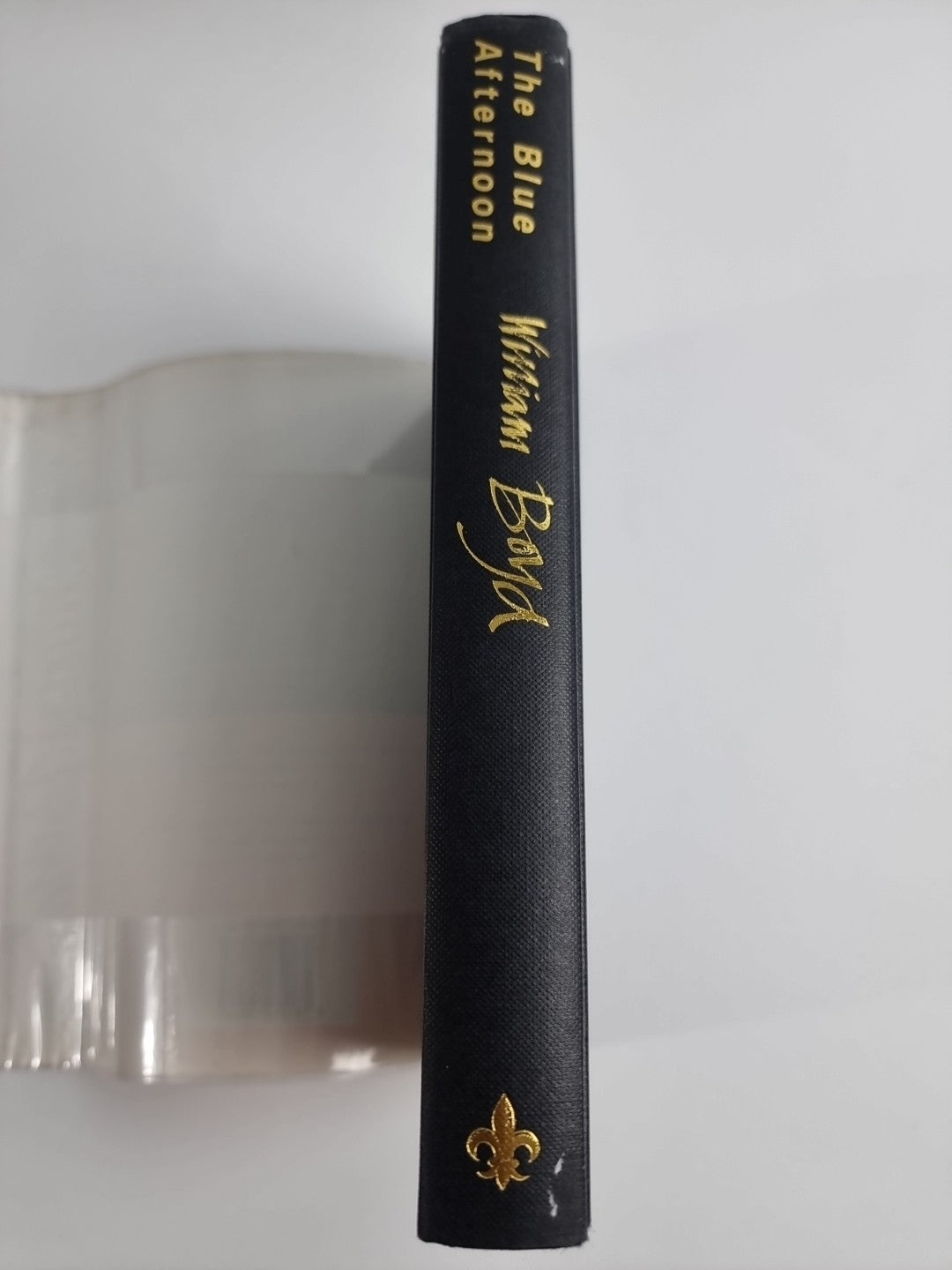 The Blue Afternoon by William Boyd (Hardcover, 1993)