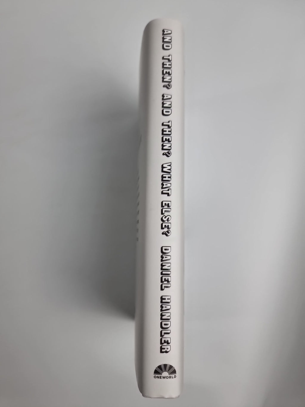 And Then And Then What Else by Lemony Snicket 9780861549429 NEW
