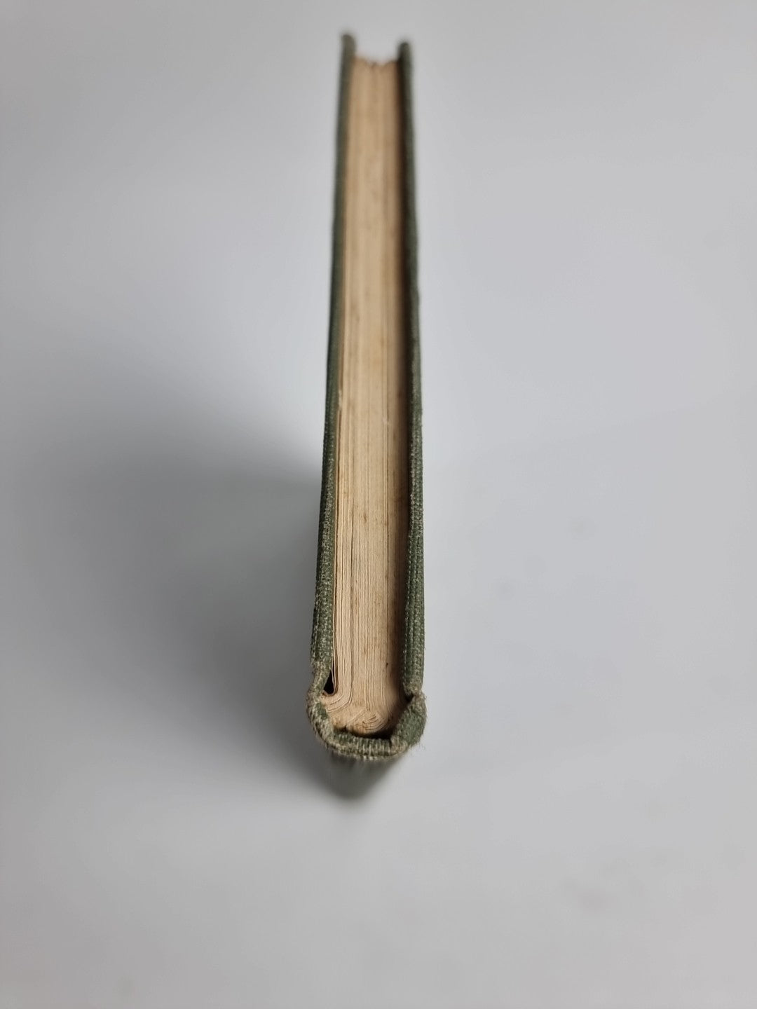 Shirley By Francis Thomson