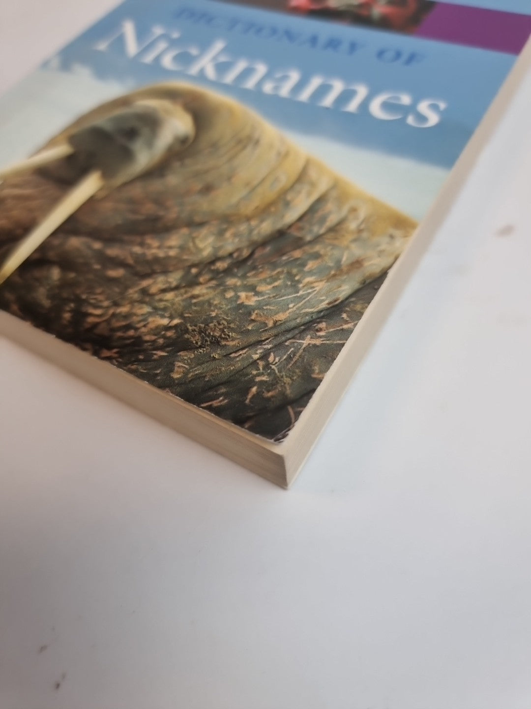 Oxford Dictionary of Nicknames by Andrew Delahunty (Paperback, 2006)