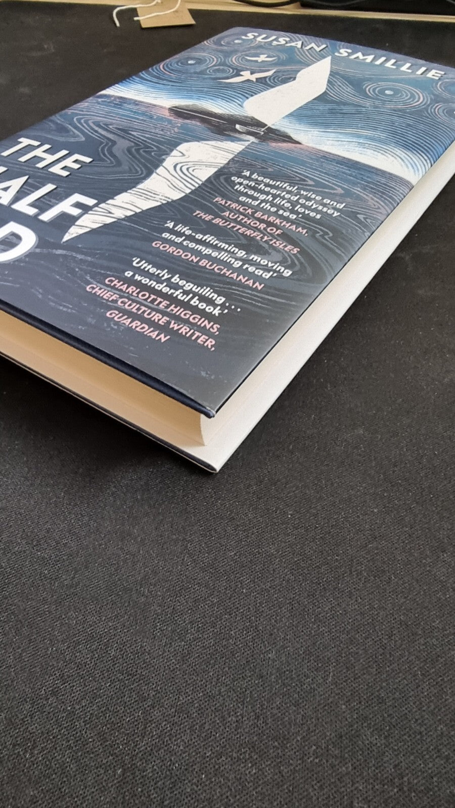 The Half Bird by Susan Smillie 