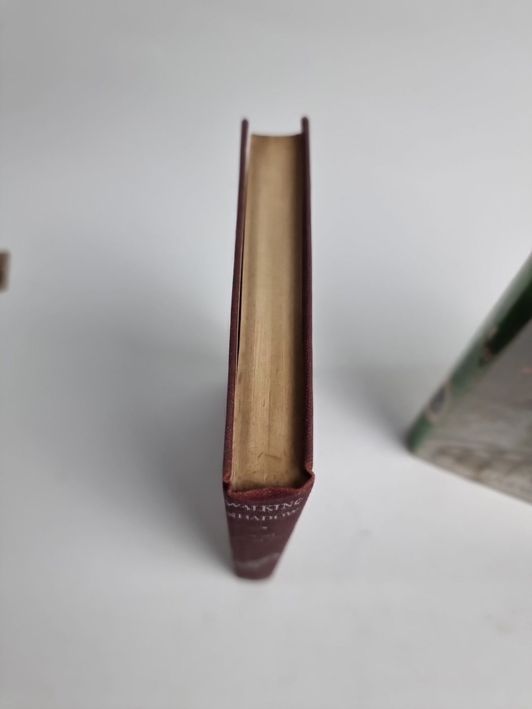 Walking Shadow J.M. Walsh 1st Edition,2nd Impression. 1951 Fine