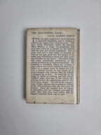 The Destroying Angel By Louis J Vance Reprint 