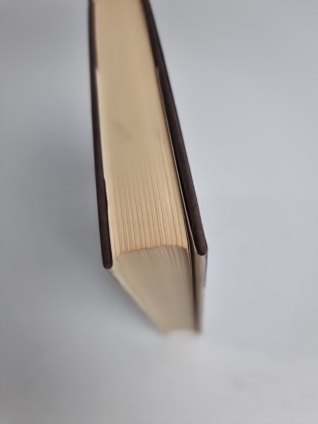 VOYAGE by LAURETTE PIZER 1st Edition Unread Fine Condition.