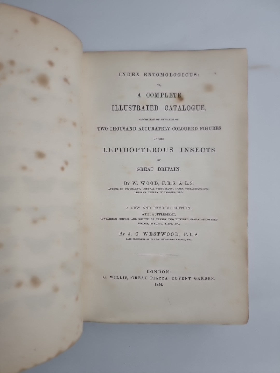 INDEX ENTOMOLOGICUS; or, A COMPLETE ILLUSTRATED CATALOGUE 1854