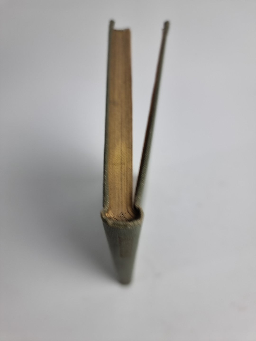 Shirley By Francis Thomson