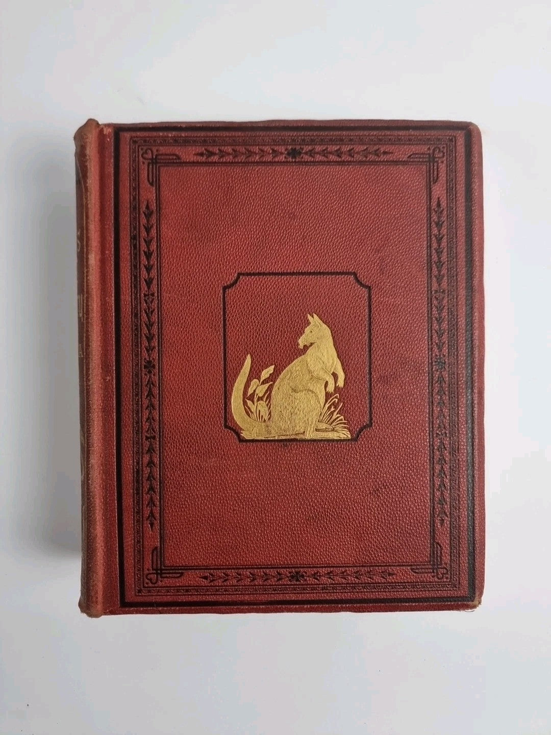 Routledge's Popular Natural History, Rev. J G Wood 1874, 