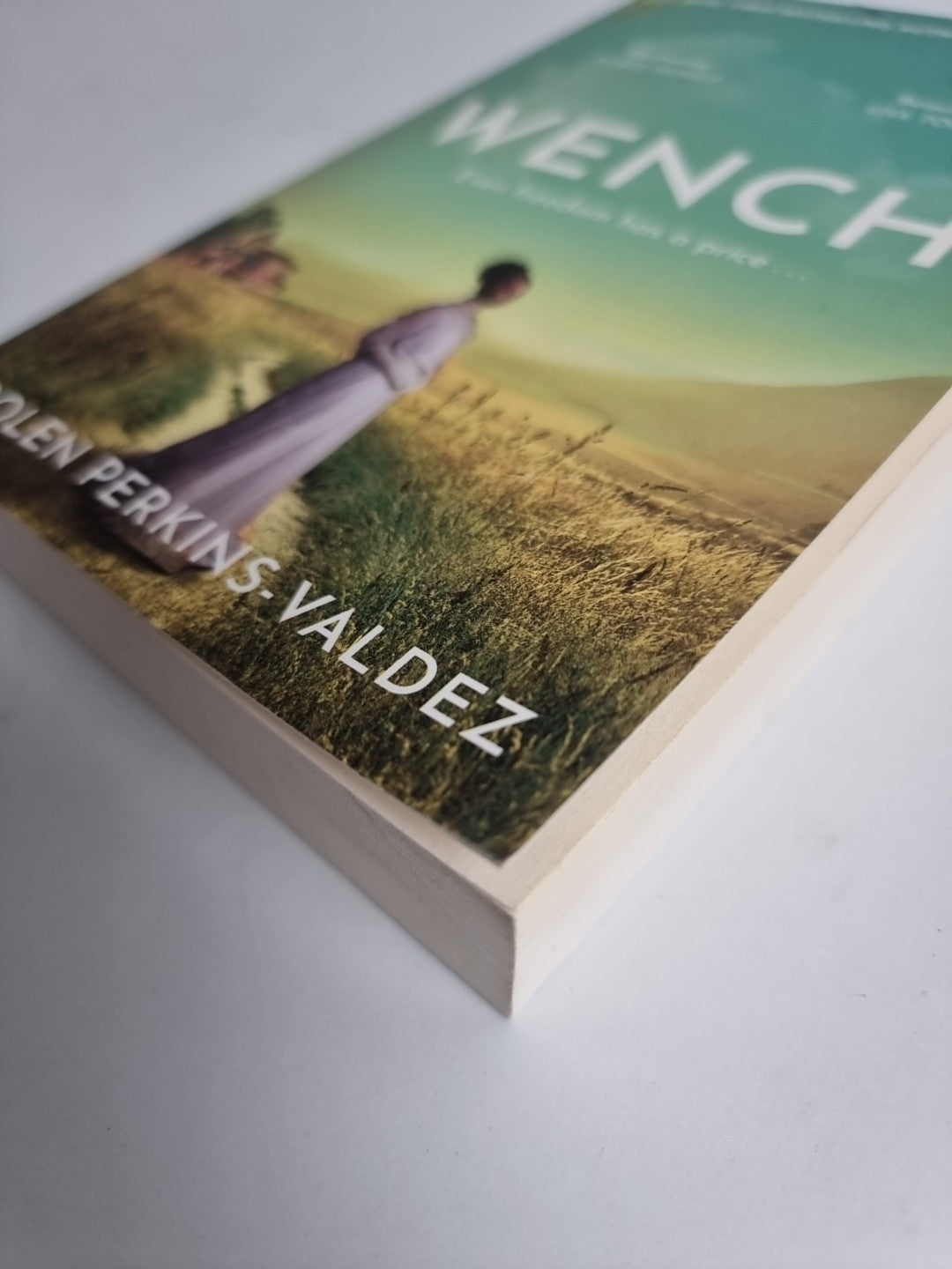 Wench: Dolen Perkins-Valdez 1st Ed PB