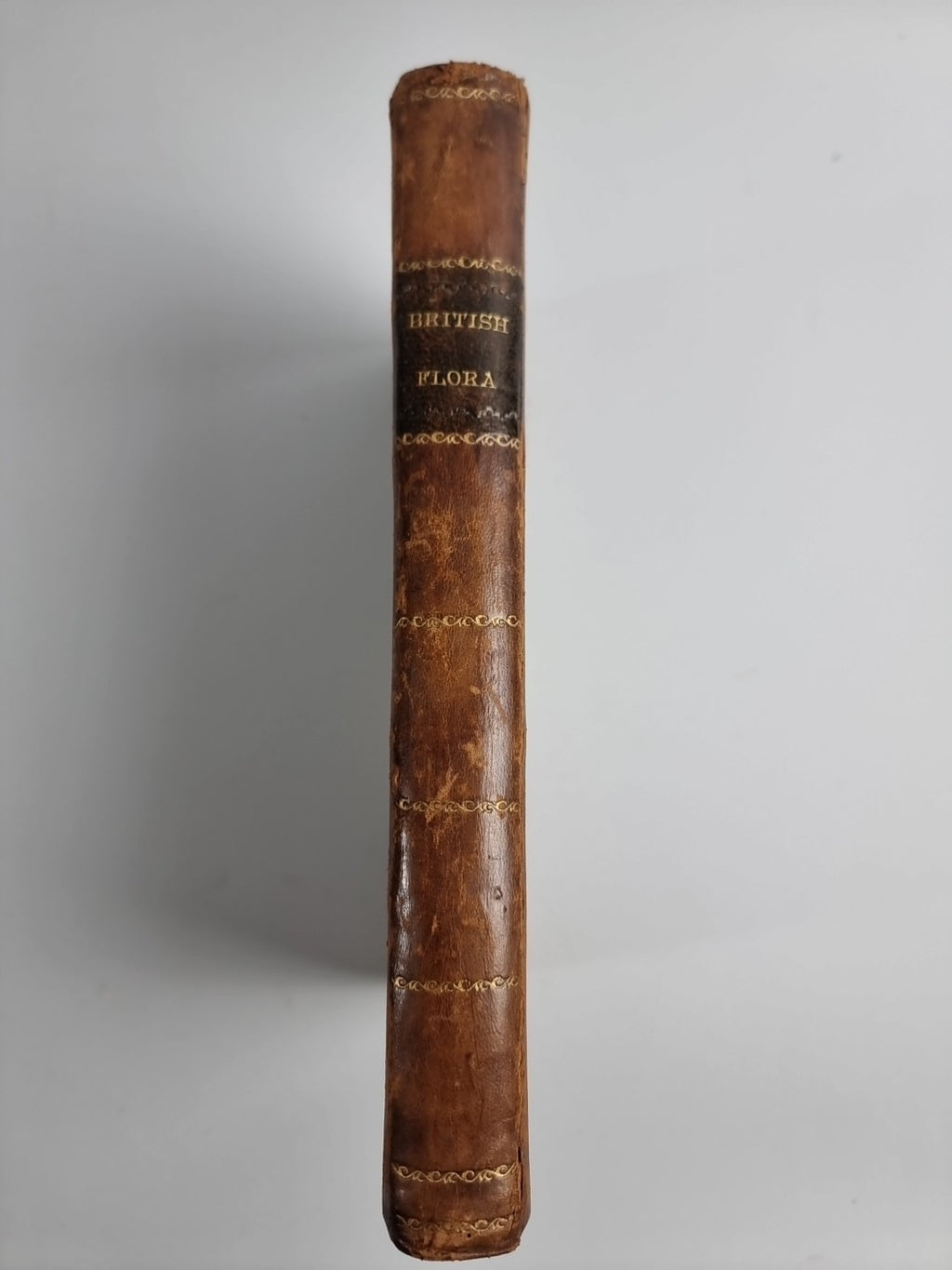 The British Flora. Containing the Select Names Characters, Places of Growth 1777