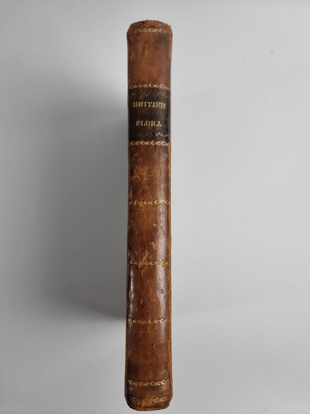 The British Flora. Containing the Select Names Characters, Places of Growth 1777