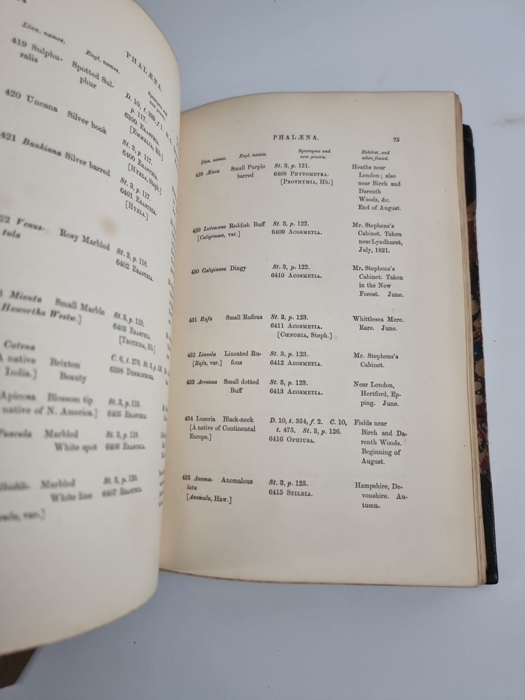 INDEX ENTOMOLOGICUS; or, A COMPLETE ILLUSTRATED CATALOGUE 1854