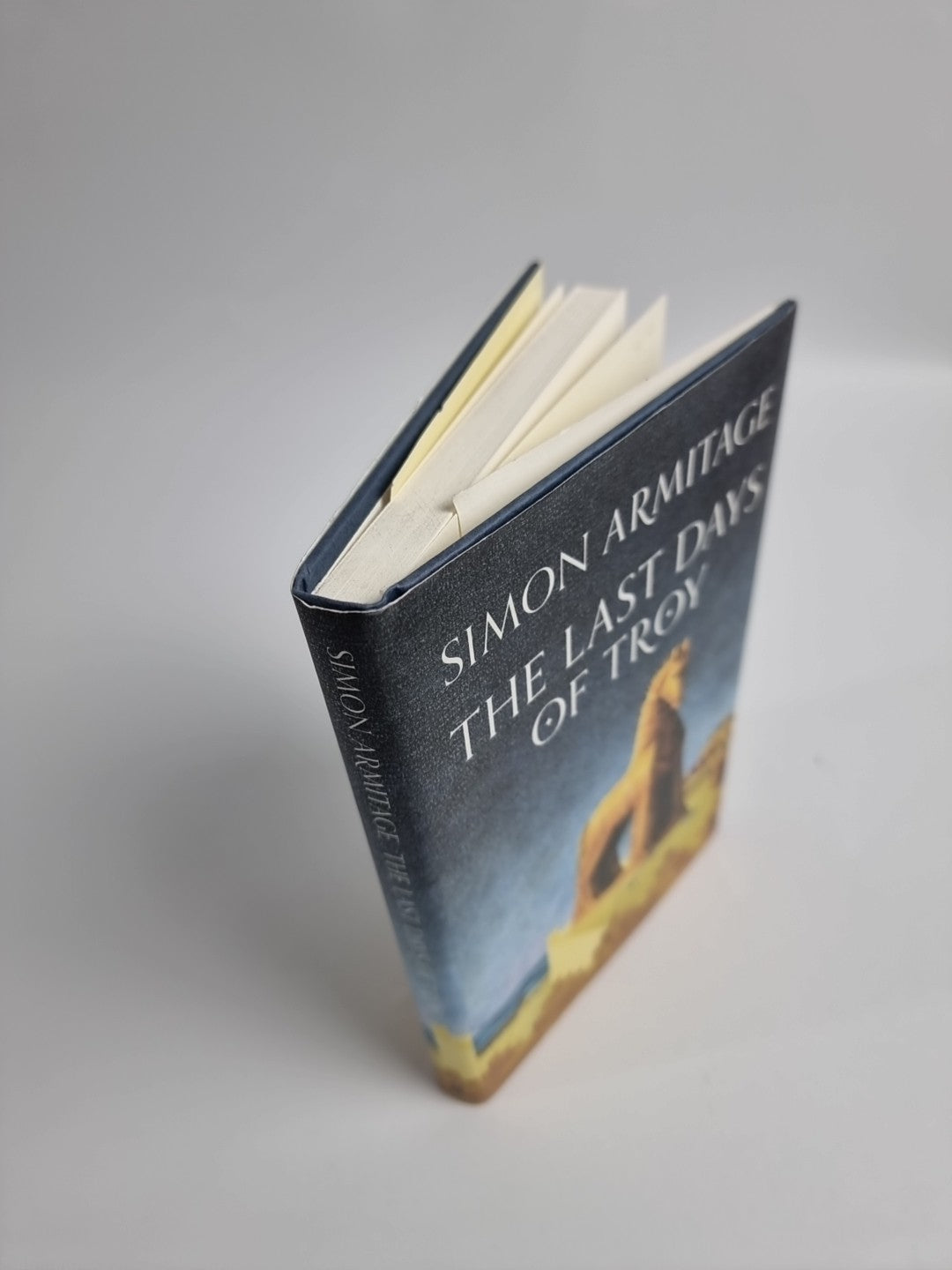 The Last Days of Troy by Simon Armitage H/B D/J 1st Edition