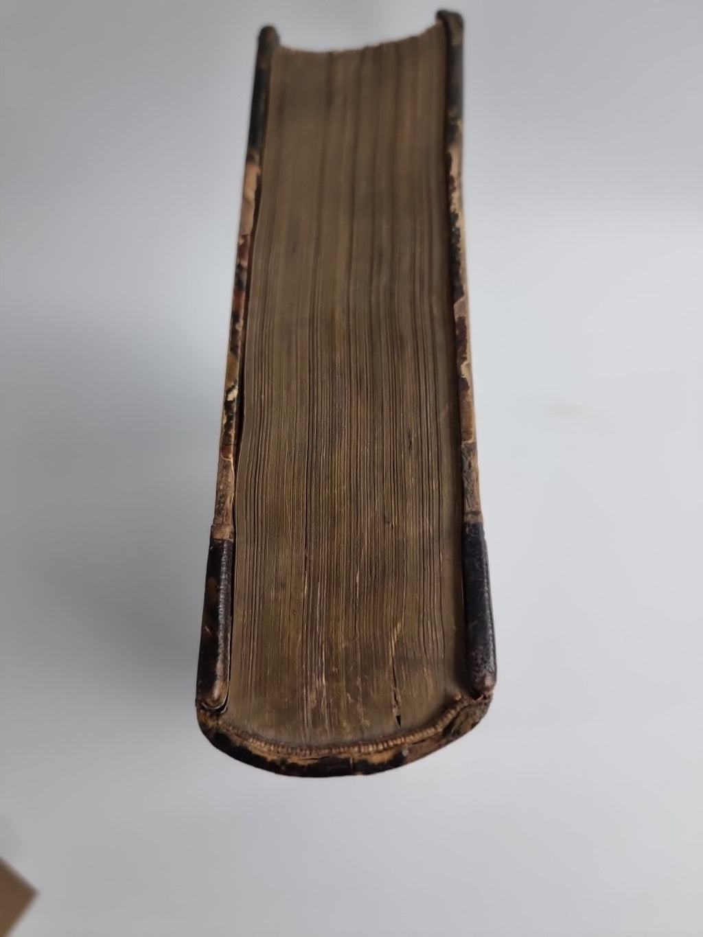 INDEX ENTOMOLOGICUS; or, A COMPLETE ILLUSTRATED CATALOGUE 1854