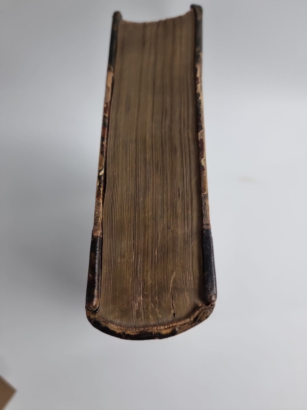 INDEX ENTOMOLOGICUS; or, A COMPLETE ILLUSTRATED CATALOGUE 1854