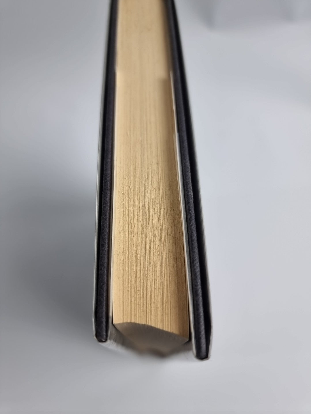 Bad to the Bone by Philip Caveney (Hardcover, 1996) 1st Edition Rare!