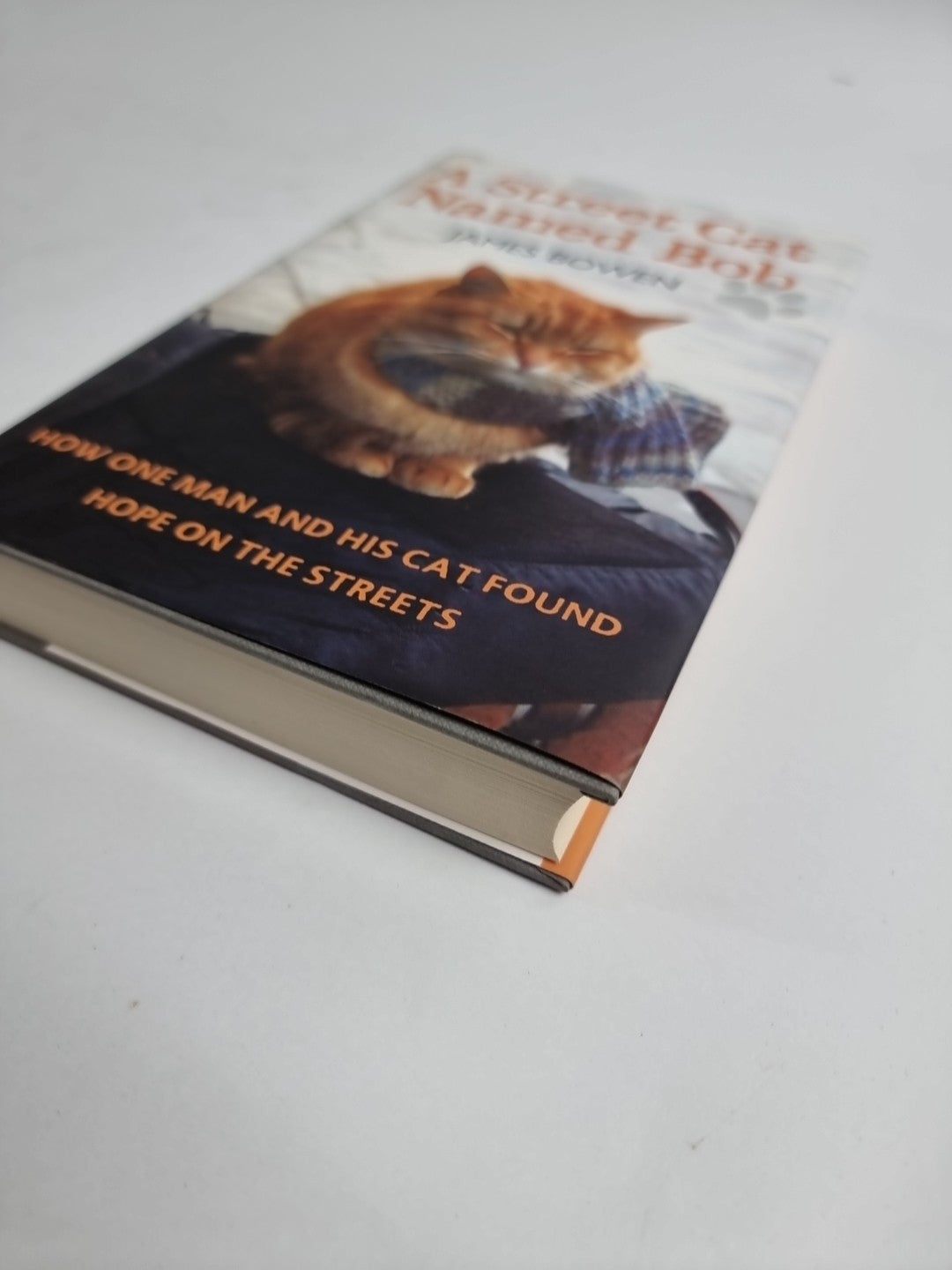 A Street Cat Named Bob: How One Man and His Cat Found Hope on the Streets by Jam