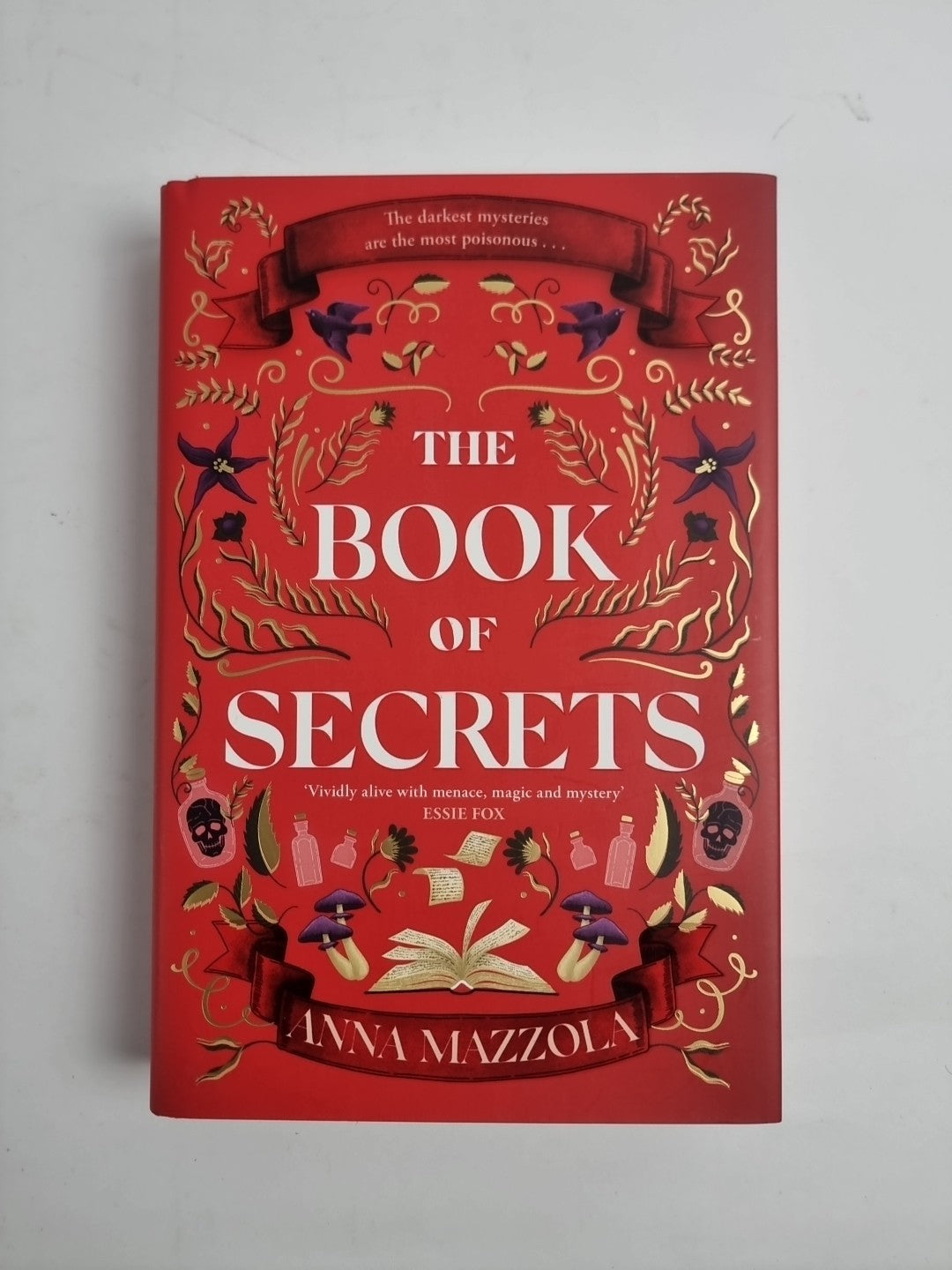 The Book of Secrets: The dark and dazzling 1st Edition Free Tracked Delivery 